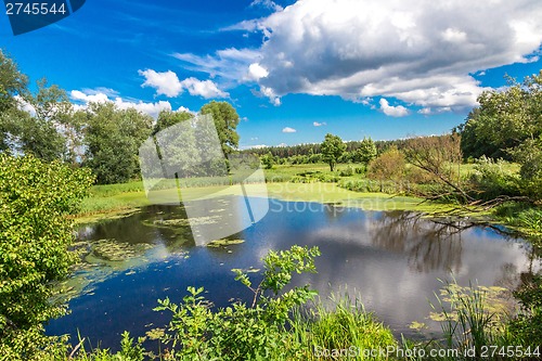 Image of Panorama of summer morning lake