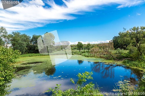 Image of Panorama of summer morning lake