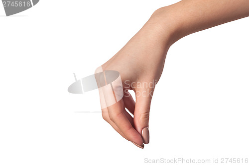 Image of Female hand reaching for something on white