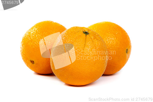 Image of Orange