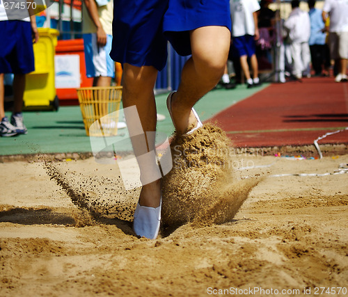 Image of Into the sands