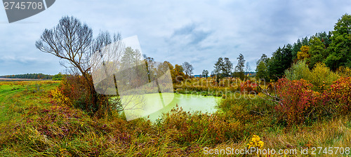 Image of Forest lake in fall. Panorama