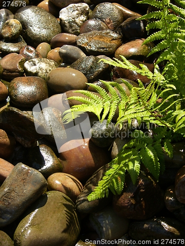 Image of Wet Stones