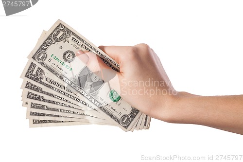 Image of Female hand holding money dollars isolated on white background