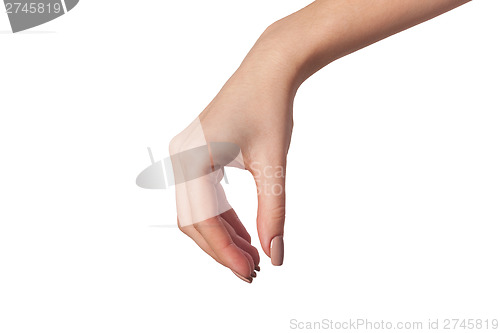Image of Female hand reaching for something on white