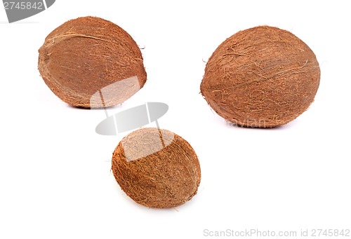 Image of set of Coconut on a white background