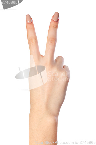 Image of Hand gesture number four closeup isolated on white