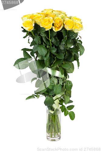 Image of Group of fresh yellow roses