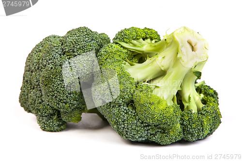 Image of Single broccoli floret isolated on white