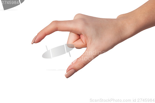 Image of Female hand reaching for something on white