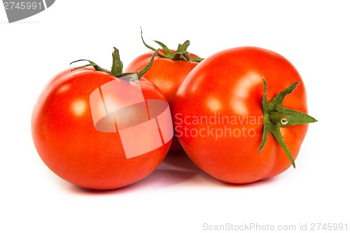 Image of Tomatos