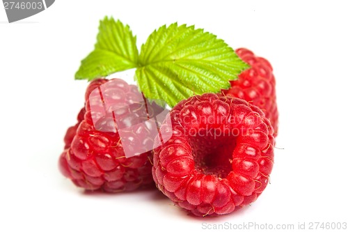 Image of Bunch of a red raspberry on a white background. Close up macro s