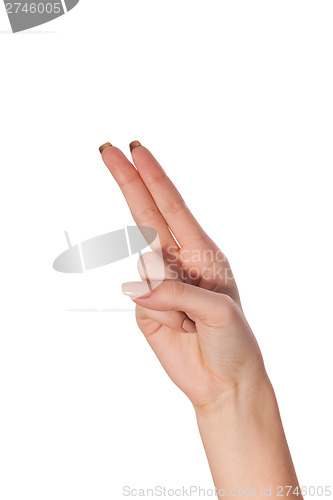 Image of Hand gesture number four closeup isolated on white