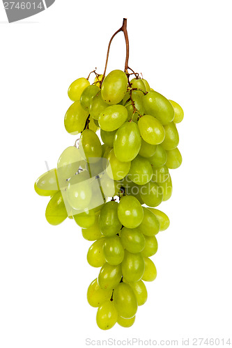 Image of Bunch of Green Grapes laying isolated