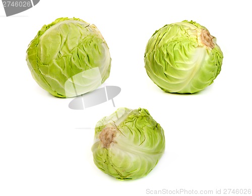 Image of set of Green cabbages isolated on white