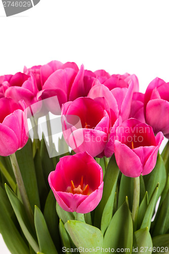 Image of Bunch of tulips on a white