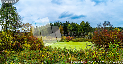 Image of Forest lake in fall. Panorama