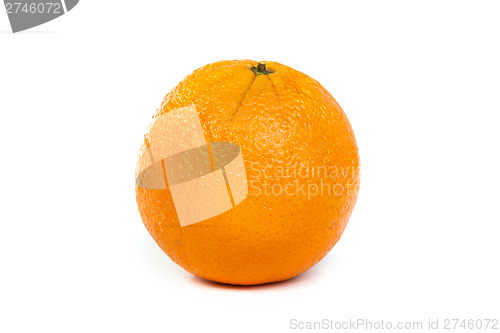 Image of Orange