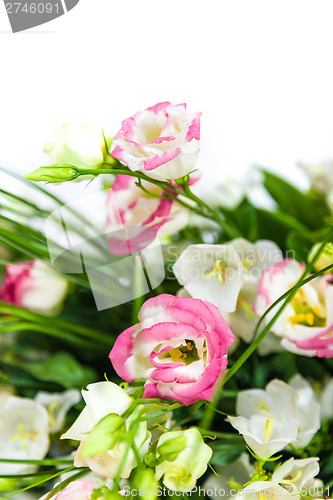 Image of spring flowers background on white background