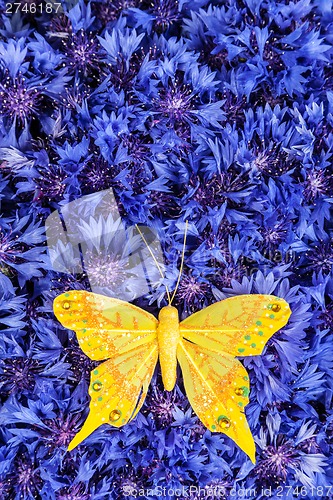 Image of Spring blue cornflower with yellow butterfly