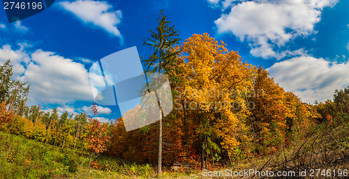 Image of Autumn forest panorama