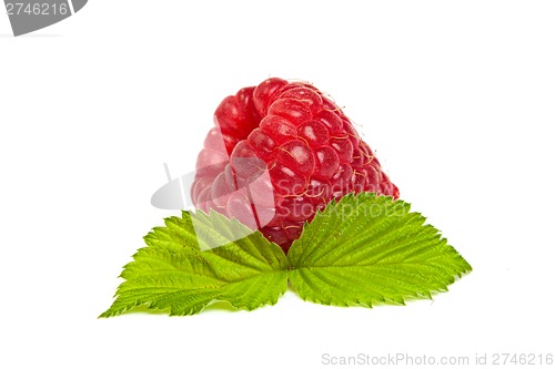 Image of Ripe rasberry with green leaf isolated over white. Close up macr