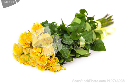 Image of Group of fresh yellow roses