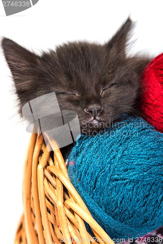 Image of Black kitten playing with a red ball of yarn on white background