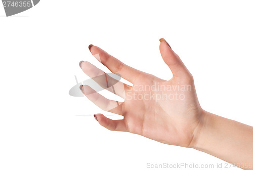 Image of Female hand reaching for something on white