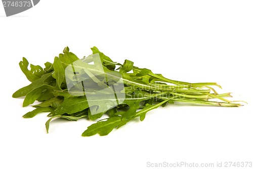 Image of Arugula/rucola  fresh heap leaf on white