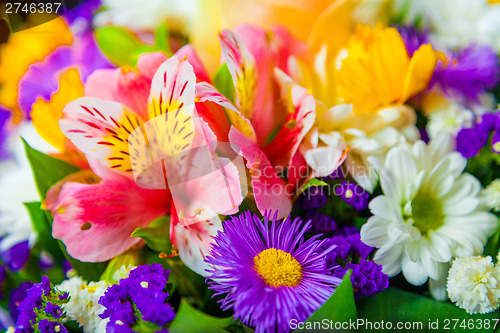 Image of spring flowers background on white background