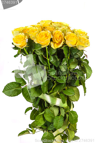 Image of Group of fresh yellow roses