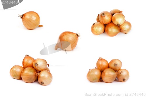 Image of set of onions, isolated on white