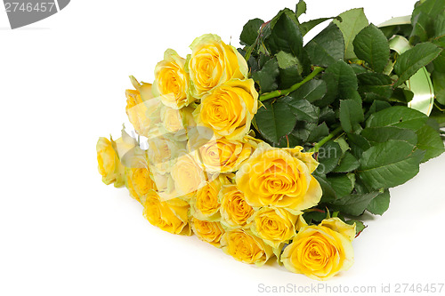 Image of Group of fresh yellow roses