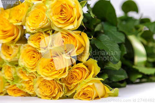 Image of Group of fresh yellow roses