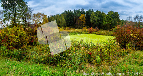 Image of Forest lake in fall. Panorama