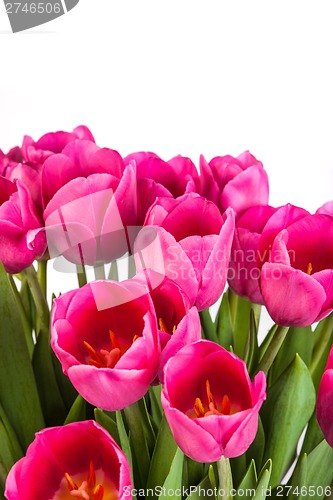 Image of Bunch of tulips on a white