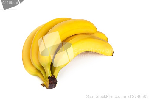 Image of A bunch of bananas isolated