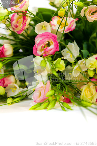 Image of spring flowers background on white background