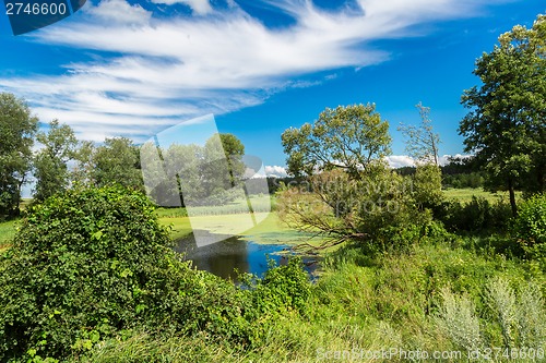 Image of Panorama of summer morning lake