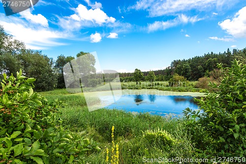 Image of Panorama of summer morning lake
