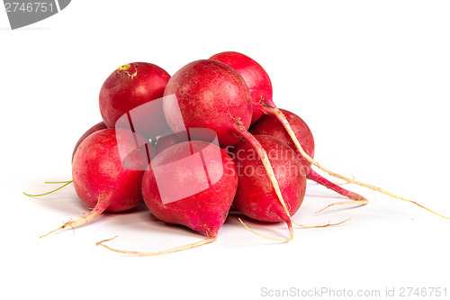 Image of A bunch of fresh radishes isolated on white