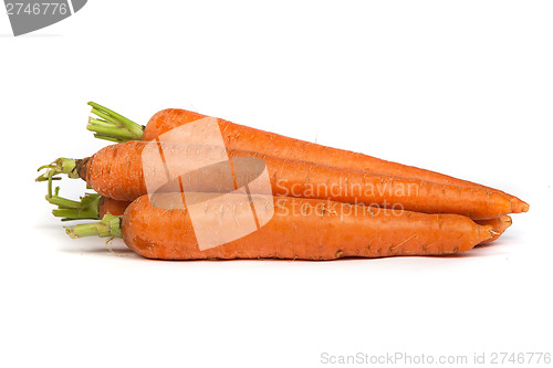 Image of Bunch of fresh carrot isolated on white