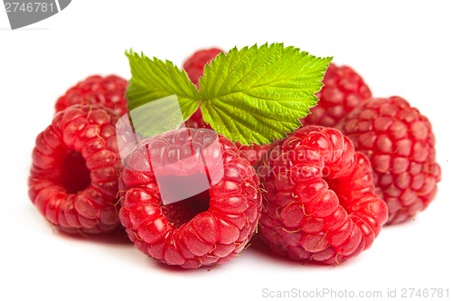 Image of Bunch of a red raspberry on a white background. Close up macro s