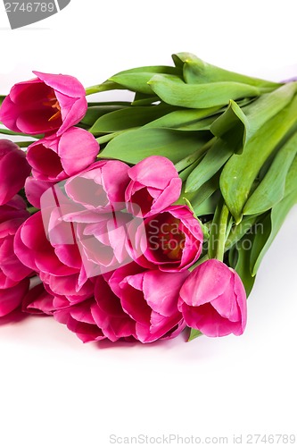 Image of Bunch of tulips on a white