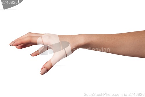 Image of Female hand reaching for something on white