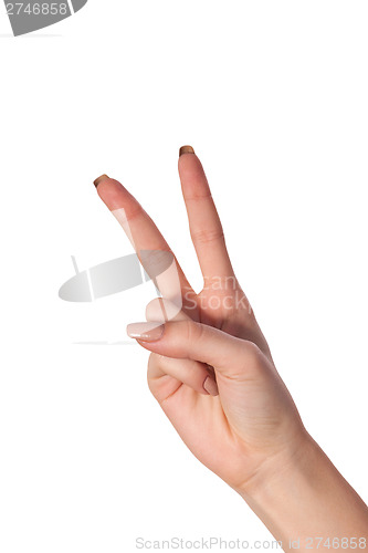 Image of Hand with two fingers up in the peace or victory symbol
