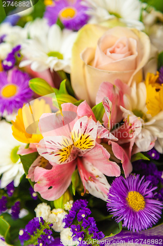 Image of spring flowers background on white background