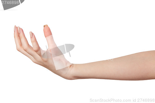 Image of Female hand reaching for something on white