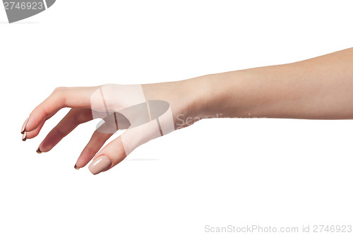 Image of Female hand reaching for something on white